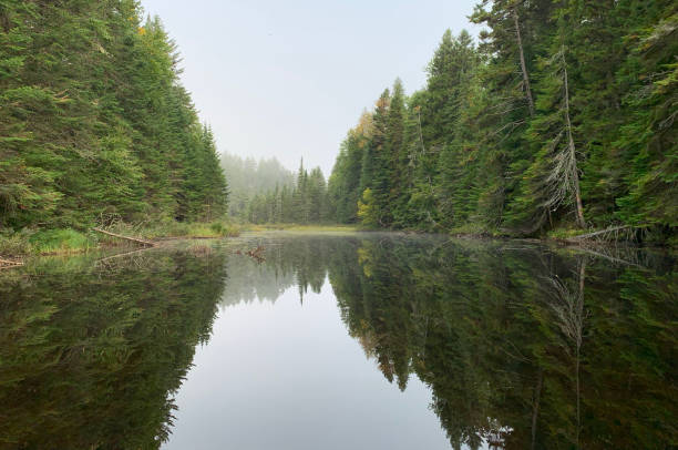 istock Kayakyng in early fall, Quebec 1423159562