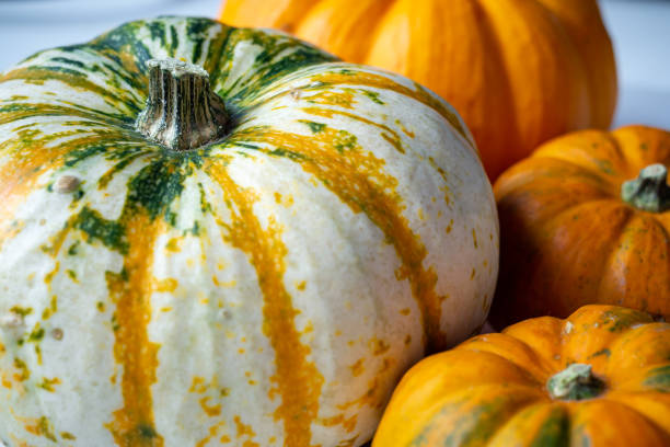 istock yellow and white pumpkins on a white table 1423162121