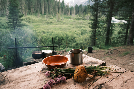Camp Still life with the bowl, iron mug, mushroom and wild onion on the old wooden table near the campfire. Waiting for food to be cooked concept. Kitchen for hiking. Journey, Trekking Theme