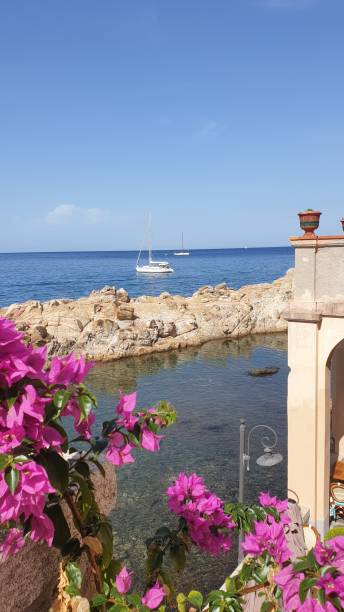istock between bougainvillea and the sea 1423163043