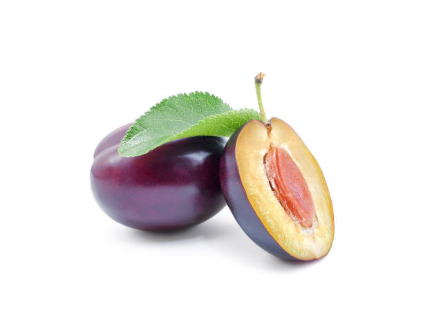Purple plum whole and halved isolated on white stock photo