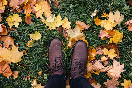 Colorful background of fallen leaves on green grass. Legs in brown boots on the autumn fallen yelllow and orange leaves on the ground in the forest. Seasonal scenic beautiful background