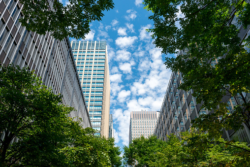 Tree-lined streets and skyscrapers. The scenery of Marunouchi.