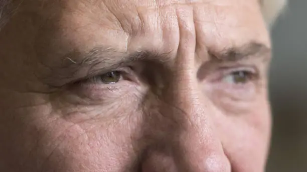 Brown eyes of serious older grey man looking away. Upper face, nose, dry facial skin with wrinkles close up. Cropped shot, banner. Elderly age, geriatric process, eye care, vision
