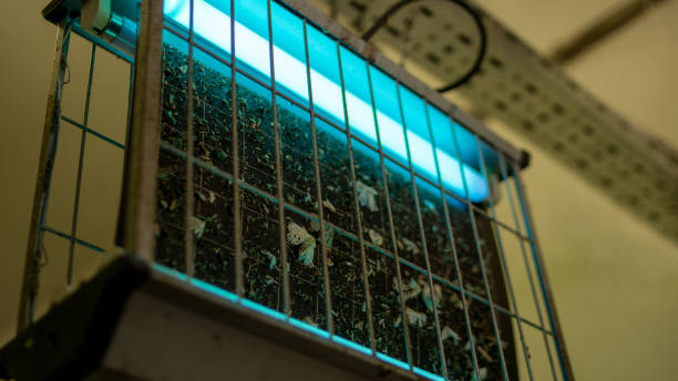 промышленная инсектицидная лампа, свисающая с потолка для борьбы с насекомыми. - bug zapper стоковые фото и изображения