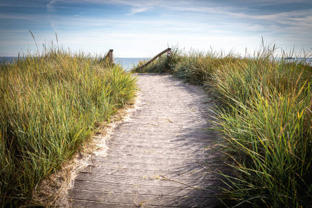 a sandy path leads over the dunes to the Baltic Sea beach