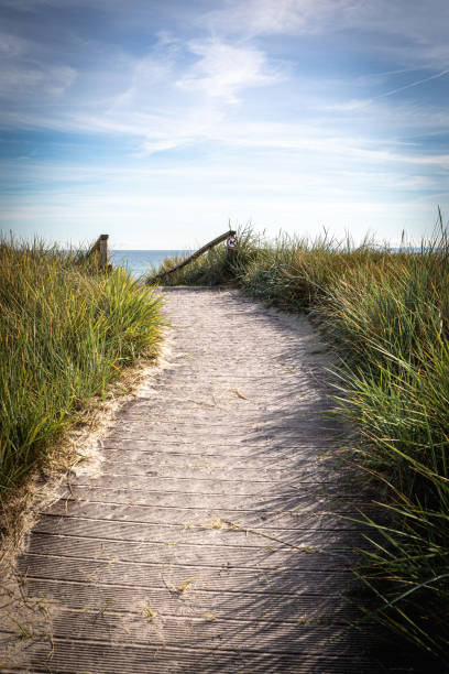 istock sandy path leads over the dunes to the Baltic Sea beach 1423173135