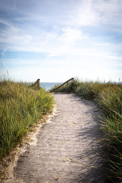 istock sandy path leads over the dunes to the Baltic Sea beach 1423173138