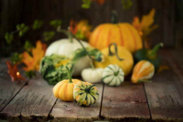 istock Autumn Pumpkins and Gourds 1423174478