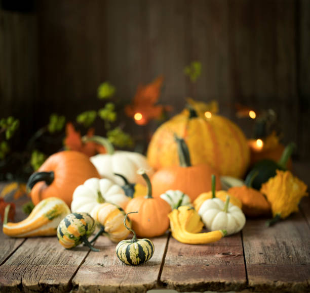istock Autumn Pumpkins and Gourds 1423174508