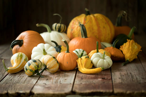 istock Autumn Pumpkins and Gourds 1423174566