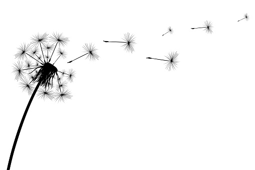 Dandelion fluff flies away from the wind. Vector illustration
