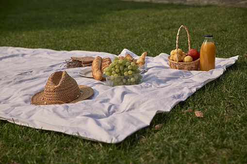 Picnic blanket and basket with food on grass