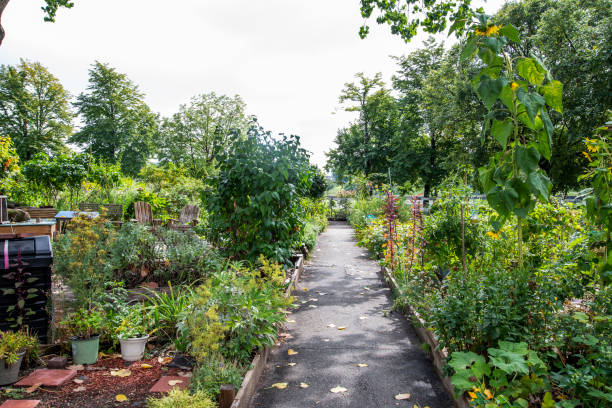 istock Garden in the city 1423190853