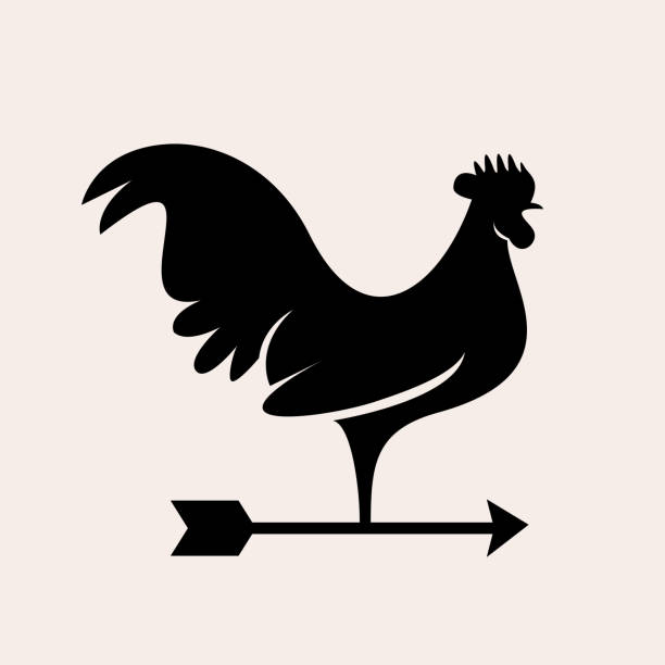 wysokiej jakości wiatrowskaz rooster design - weather vane stock illustrations