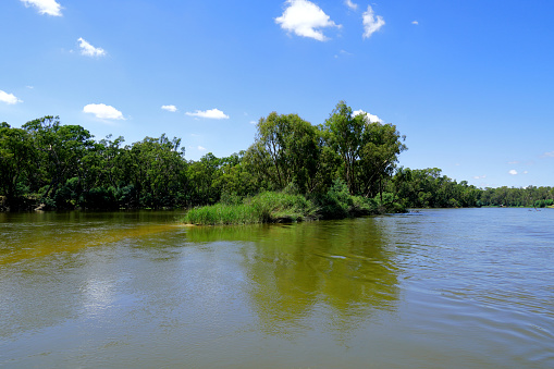 Tom Island in the Murray River, Northern Country