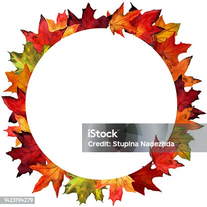 istock Watercolor draw of maple leaves in ornamental border. Square frame from autumn foliage isolated on white background. 1423194279