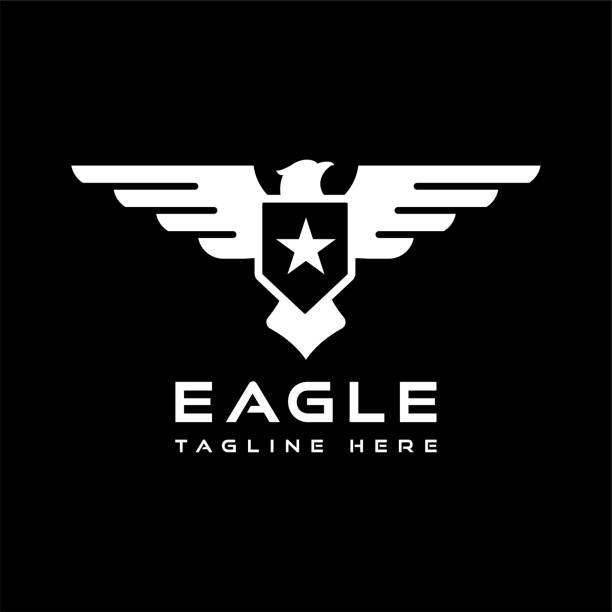 독수리 별 벡터 디자인 - symbol military star eagle stock illustrations