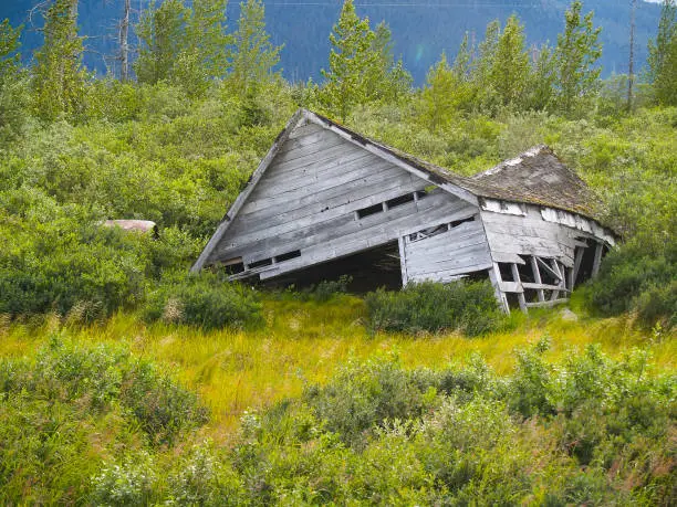 Nature reclaims old deserted wooden building in Alaskan landscape.