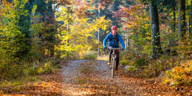 istock Man riding mountain bike in nature 1423207009