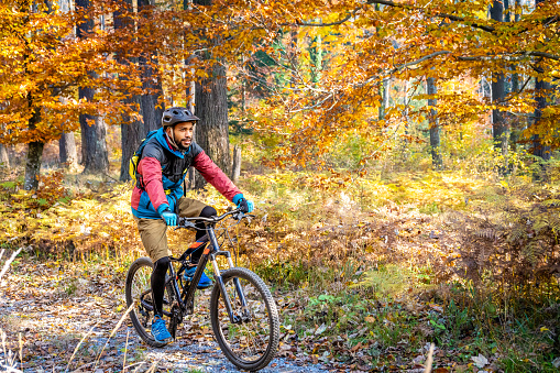 Sportsman riding mountain bike in nature. Varied colour foliage in background. Adventure trip in colourful autumn forest, active lifestyle concept.