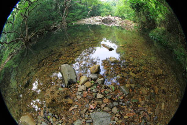 istock Shing Mun Reservoir Creek,  Shing Mun Reservoir 8 Oct 2011 1423207649