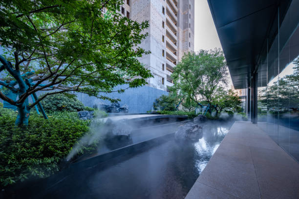 istock Modern residential landscaping landscape water feature spray 1423216850