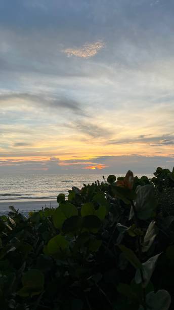 istock LOVELY EVENING ON THE BEACH 1423217965