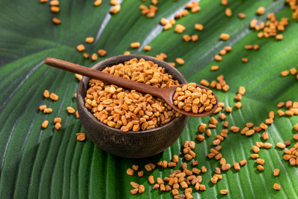istock Organic fenugreek seeds in the bowl. Trigonella foenum-graecum 1423222429