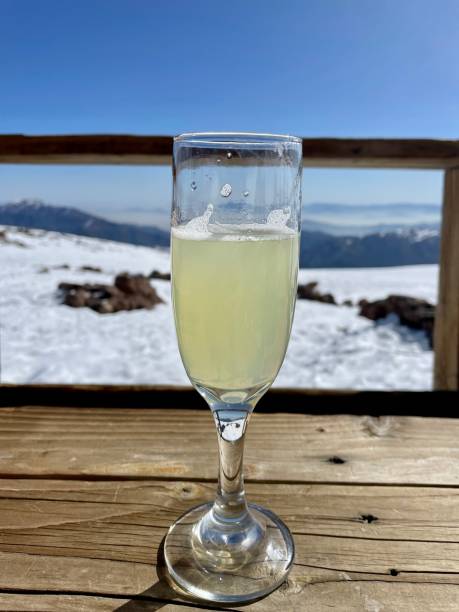 istock Pisco sour - cocktails - Pisco Punch 1423222672