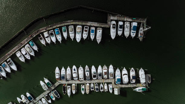 istock marina with docked boats 1423225741