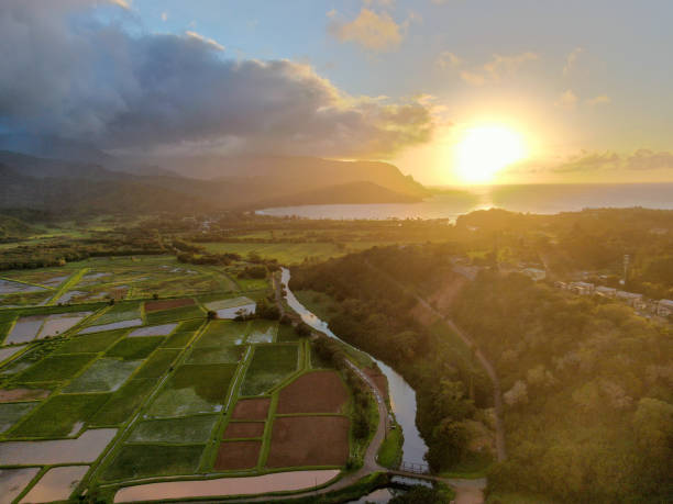 Hanalei Bay, Hawaii Drone view from Princeville, overlooking the Taro Fields towards Hanalei on the Hawaiian Island of Kauai hanalei bay stock pictures, royalty-free photos & images