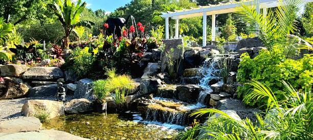 Varied Landscape Setting with Lush Plants, a Waterfall and Gazebo