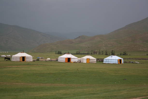 One day in a Mongol nomadic life, Orkhon valley, Mongolia. stock photo