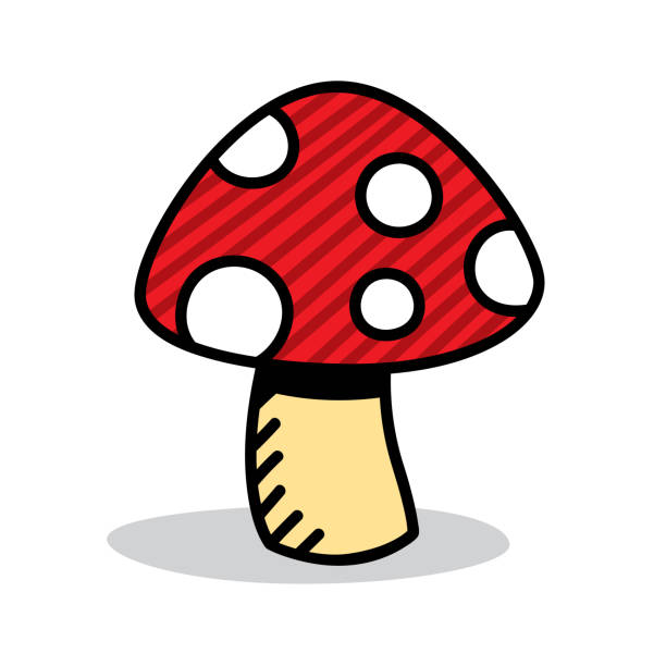 ilustrações, clipart, desenhos animados e ícones de doodle de cogumelo 6 - mushroom edible mushroom red botany