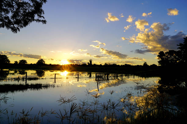 istock Taree, NSW, Australia 1423244576