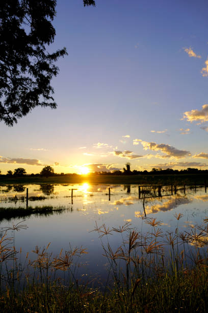 istock Taree, NSW, Australia 1423244577