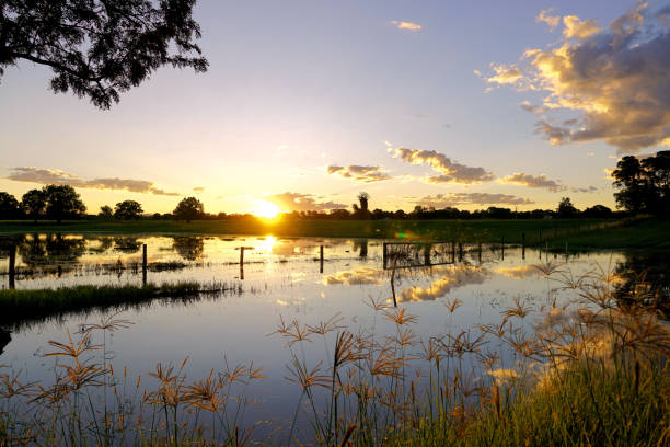 istock Taree, NSW, Australia 1423244873