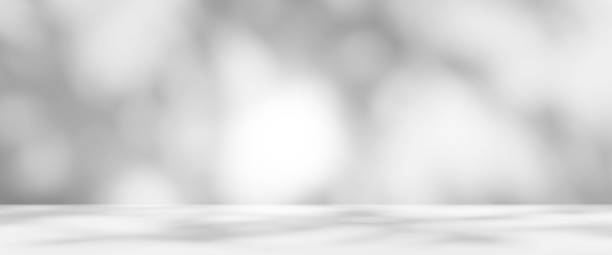 istock Abstract Shadow Leaves Gray Cement Room Stodio Background 1423245684