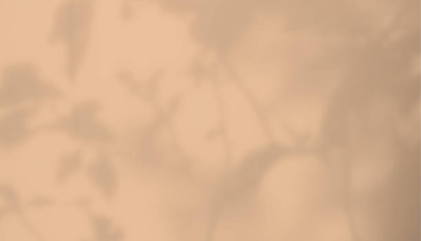istock Blur Orange Wall with shadow Leaves Autumn Background 1423245795