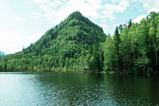 istock Beautiful landscape, mountains on the lake shore 1423245942
