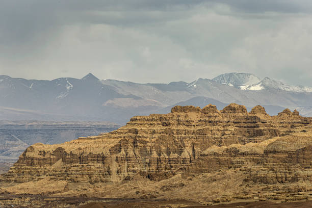 istock Earth forest landform in Zada County 1423246039