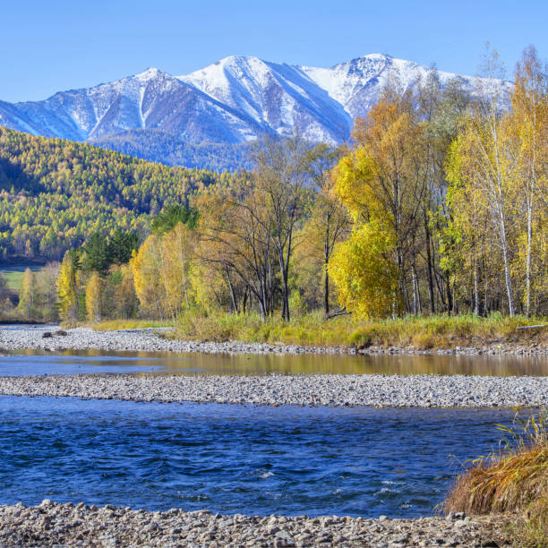 istock Beautiful autumn view. Blue river, yellow forest and snow mountains. 1423250768