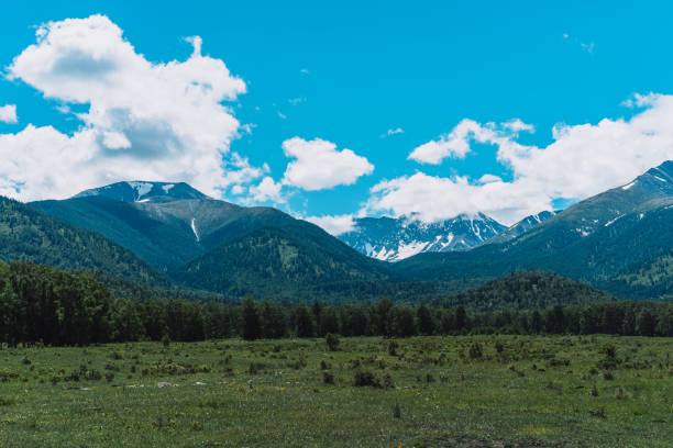 istock High mountains with snow caps among green fields and forests 1423256625