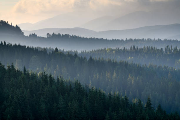 istock Majestic view on beautiful fog and cloud mountains 1423262910