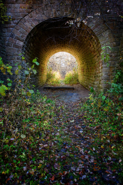 istock Mystery stone tunnel in the autumn forest 1423262916
