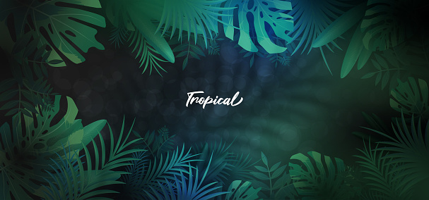 Tropical background with palm leaves