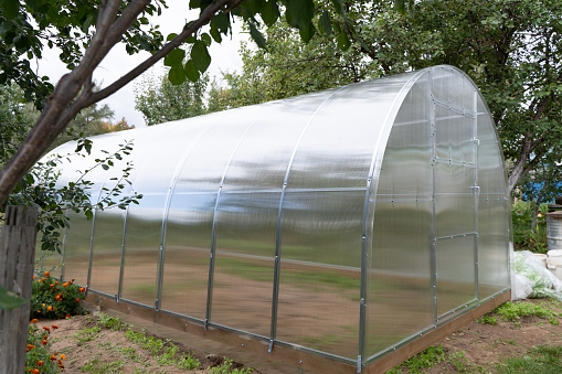 New polycarbonate greenhouse with metal frame in the garden in summer.