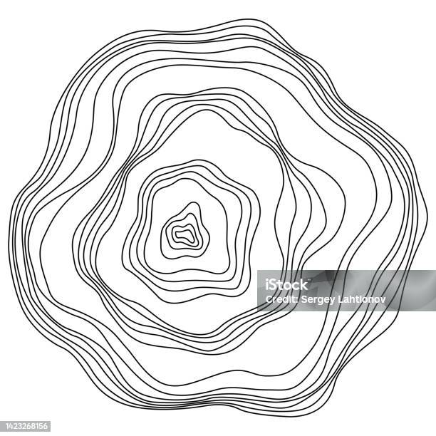 Tree Ring Line Pattern Abstract Tree Rings Vector Topographic Map Concept Background Thin ...
