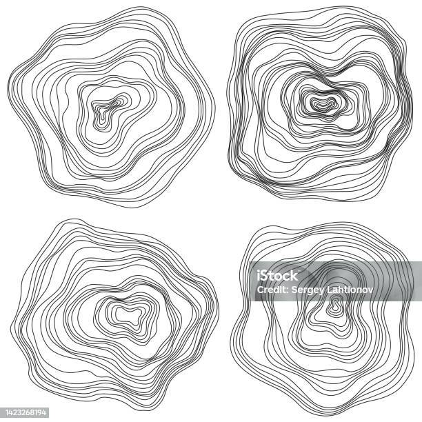 Tree Ring Line Pattern Abstract Tree Rings Vector Topographic Map Concept Background Thin ...